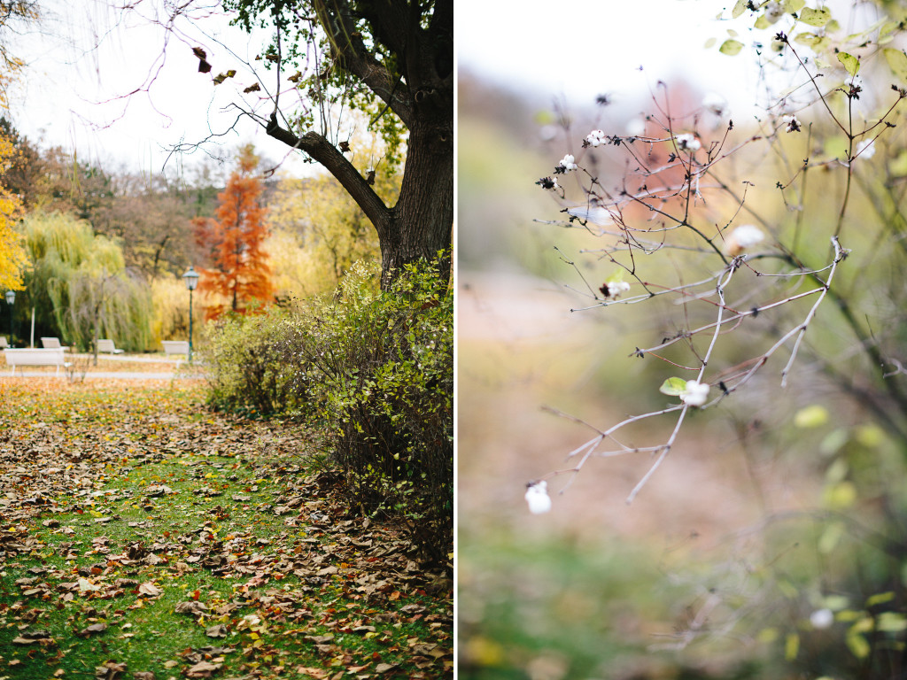 familienshooting-doblhofpark-baden-bei-wien-3